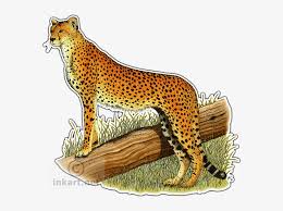 Cheetah cheetah silhouette cheetah drawing cheetah, cheetos chester coloring, cheetos png cheetos puffs cheetos cartoon doritos cheetos cheetos popcorn puffs flaming, cheetos chester cheetah t shirt large new w tag ebay. Cheetah Decal Cheetah Drawings With Color Png Image Transparent Png Free Download On Seekpng