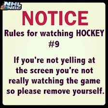 Pin By Jennifer St Peter On Hockey Hockey Bruins Hockey Hockey Memes