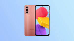 Samsung Galaxy F13 ...