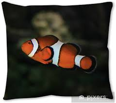 Discover savings on home décor & more. Small Orange White And Black Fish Throw Pillow Pixers We Live To Change