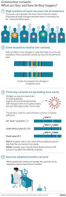Does it work against new variants? What Are The India Brazil South Africa And Uk Variants Bbc News
