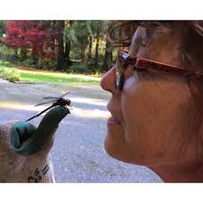 Wild Wonder Nature Journaling Conference 2020: Directory