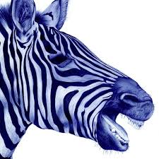 Stunning Animal Portraits Drawn With A Bic Pen Animal Portraits Drawing Pen Illustration Ballpoint Pen Art