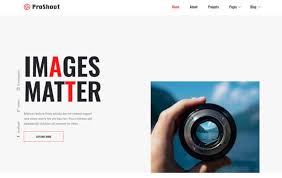 Learn how to download any video from websites like youtube and even streaming services like netflix and hulu. Proshoot Free Photography Website Template Designhooks