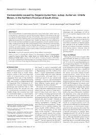 Image result for Geigeria burkei