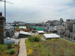 Promenades A Travers Arts Et Jardins Avec Le Musee Du Vivant Agroparistech Avec Images Jardins Musee Jardin Potager