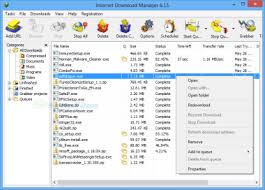 Once installed into your system you will be greeted with a very well organized and intuitive user interface. Download Internet Download Manager For Windows 6 38 18