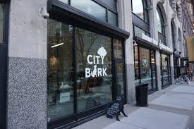 Independent and locally owned pet supply stores in brooklyn, new york. City Bark Pet Boutique Opens Friday In Downtown Detroit