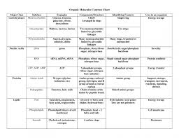 organic macromolecules worksheet worksheet fun and printable