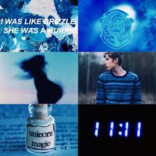 Sorciere Rouge Ravenclaw Aesthetic Ravenclaw Harry Potter Aesthetic