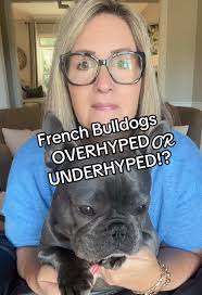 Does your Frenchie shed? Let me know in the comments🫶 Credit: @YODA ...