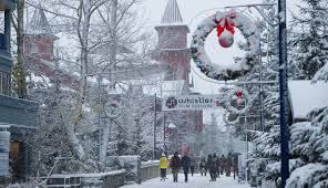 Discover a winter wonderland of film: WFF unveils 2024 lineup » Whistler Film  Festival
