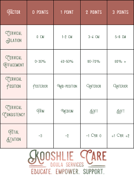 Image result for Bishop Score