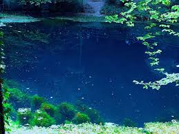 We did not find results for: Der Blautopf In Blaubeuren Auf Der Schwabischen Alb