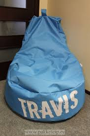 1.1.1.4 should i buy the cheapest one? Customized Bean Bag Travis