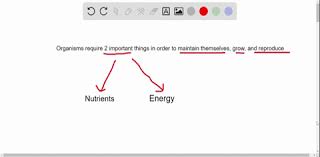 Which of the following is not a characteristic of all living things. Solved Which Of These Is Not A Property Of All Li