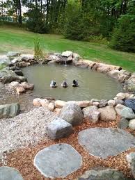 If you build the pond close to your patio bundle. Duck Houses Page 13 Backyard Ducks Duck Pond Ponds Backyard