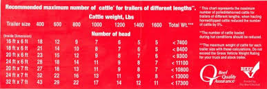 Viewing A Thread How Many 650lb Feeder Calves In A 20 Trailer