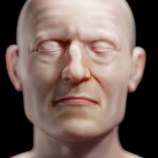 Number (and percentage) of ambiguous exam- ples in the En→Fr test sets.