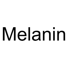 Check spelling or type a new query. Melanin Endogenous Metabolite Medchemexpress