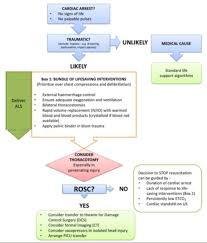 Image result for PECARN Pediatric Intra-Abdominal Injury Algorithm