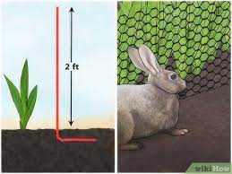 How to prevent rabbits in garden. 3 Ways To Keep Rabbits Out Of Your Garden Organically Wikihow