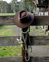 Everything Australian On Instagram An Akubra Cattleman In Its Natural Habitat Available Now Shopping Link In Bio Cam