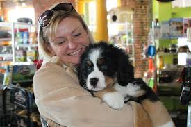 Find the perfect puppy for sale in wisconsin at next day pets. Spellbound Bernese Puppies