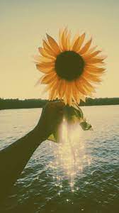 Summer Summer Beach Ocean Lake Flowers Photography Photoideas Yellow Aesthetic Vsco Photo Wall Collage Yellow Aesthetic Vsco Pictures