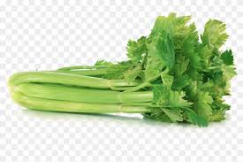 Celery Png Transparent Clipart 2822554 Pikpng