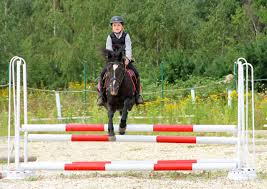 Country and western show clothing, ariat boots, saddlery, and horse riding equipment for sale. 5 Safety Tips For Horseback Riding Kids Haynet
