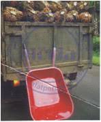 We did not find results for: Alat Dan Mesin Pengolahan Sawit Teknologi Mesin Pertanian