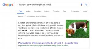 Pourquoi Mon Chien Mange T Il De L Herbe Raw Feeding Prey Model Nourrir Son Animal Sainement