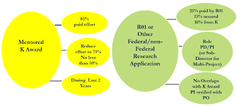 Nih K Awards Clarification Of Level Of Effort And Nih