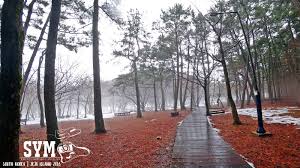 Berbaloi untuk melihat pemandangan cantik, nak berehat dan menikmati kawasan pantai yang permai dan ambil gambar pemandangan yang cantik! Trip Jeju Island South Korea 2018 2 0 Saebyeol Oreum Jeolmul Forest Jeju Mysterious Road Siti Yang Menaip