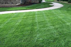 Our hours of operation remain the same! Colorado Blue Sod Green Valley Turf Residential