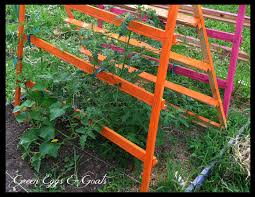 Use biodegradable twine such as sisal or jute. Fun Funky Free Garden Trellis And Tomato Cage