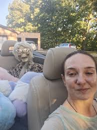 Wasteland Wonderland Event Plans and Discussions