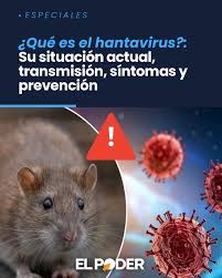 🐀 En este especial te traemos información sobre el hantavirus, la  enfermedad viral zoonótica de la que habla el mundo, debido a un brote  reciente bajo investigación que genera preocupación por su