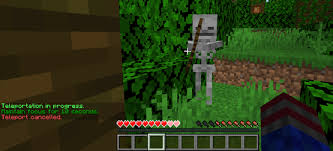 Player to player teleportation alternatively, if you want to spawn next to another player, you would put their user name after yours, instead of any coordinates. Warp Magic Spigotmc High Performance Minecraft