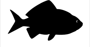 Silhouette Of A Fish Yahoo Image Search Results