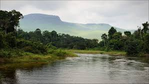 People live along the river and in the river basin as well. 10 Interesting Facts About The Democratic Republic Of Congo