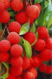 16 1 20 Avec Images Panier De Fruits Litchi Fruit Fruits Et Legumes