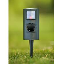 Dead cat is a passive item. Catwatch Cat Deterrent Cat Scarer Repellent Rspb Shop