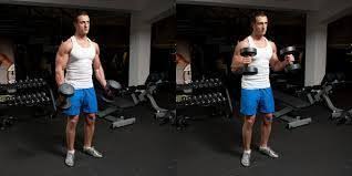 The hammer curl is a core training staple that can absolutely blow up your arms—but are you sure you're even doing the exercise correctly? Bicep Exercises Dumbbell Hammer Curls Service Provider From Dehradun