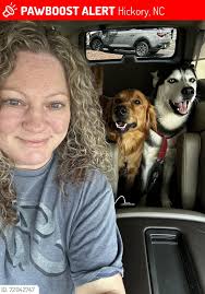 the wb blue ridge special by hickory