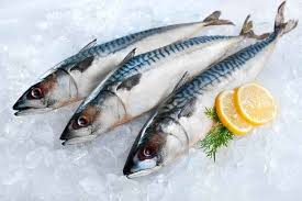 Ikan laut yang aman buat penderita kolesterol. 0mm151wzgq6ium
