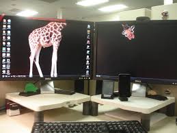 Background pictures for my desktop. 51 Genius Desktop Wallpapers That Will Make You Look Twice Bored Panda