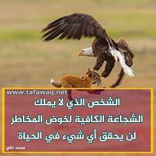 عبارات تحفيزية للذات bald eagle balding
