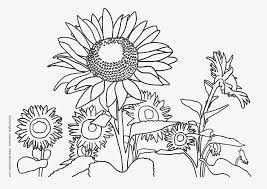 Free september coloring page printable. Printable Coloring Sheets Nature Novocom Top